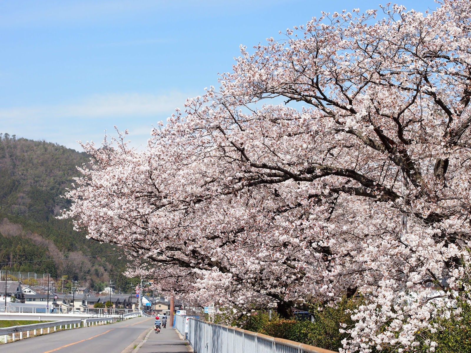 ２０１９年４月５日｜柊野福祉会グループセミナー開催